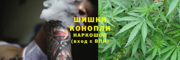 прущие грибы Аркадак