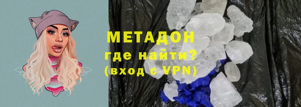 прущие грибы Аркадак