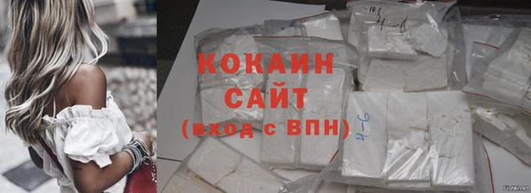 хмурый Арсеньев