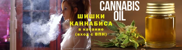 прущие грибы Аркадак
