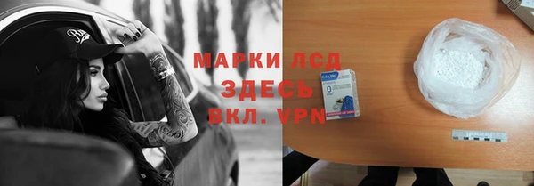 хмурый Арсеньев