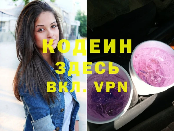 хмурый Арсеньев