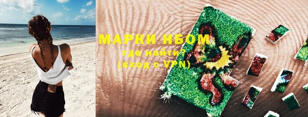 прущие грибы Аркадак