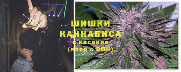 хмурый Арсеньев