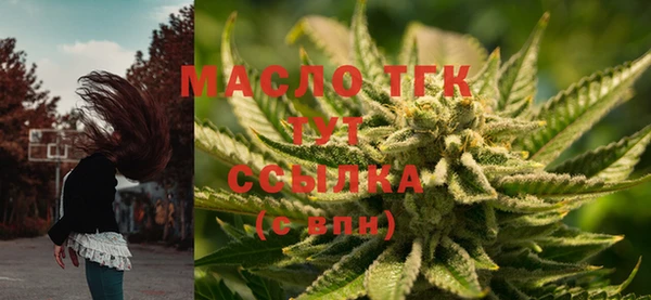 прущие грибы Аркадак