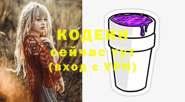 хмурый Арсеньев