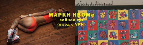 прущие грибы Аркадак
