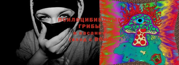 гидропоника Армянск